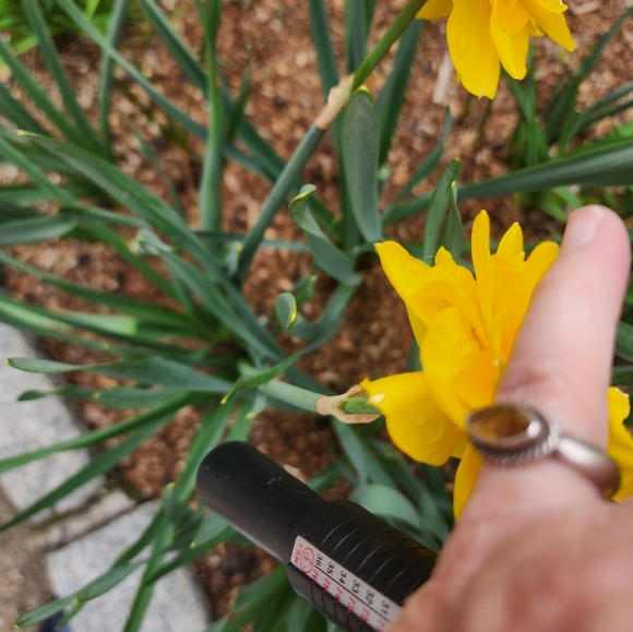 Vintage sterling yellow tanzanite ring 6 - Picture 4 of 10